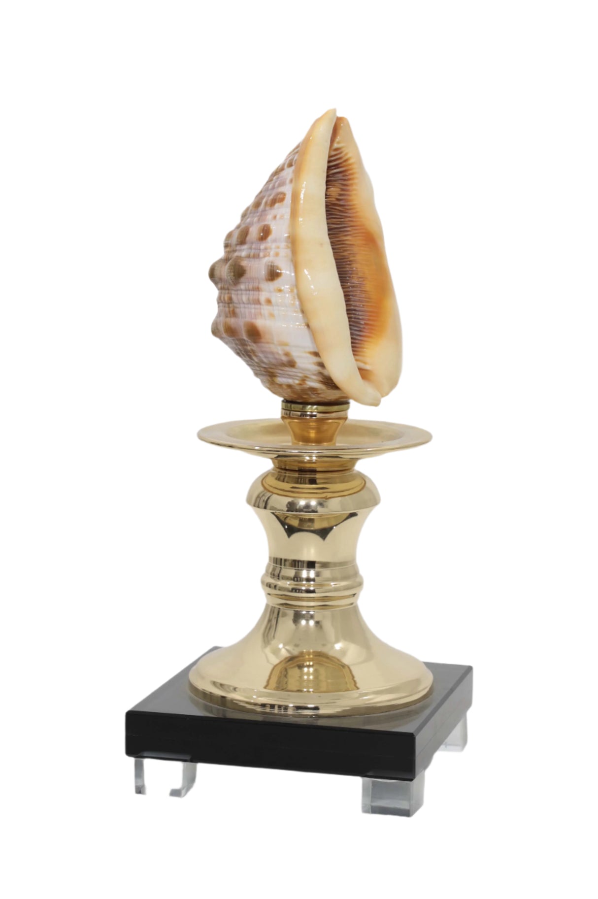 تحفة زينة - بريما | من هاي بوينت