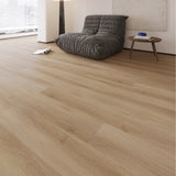 باركيه إيلاف