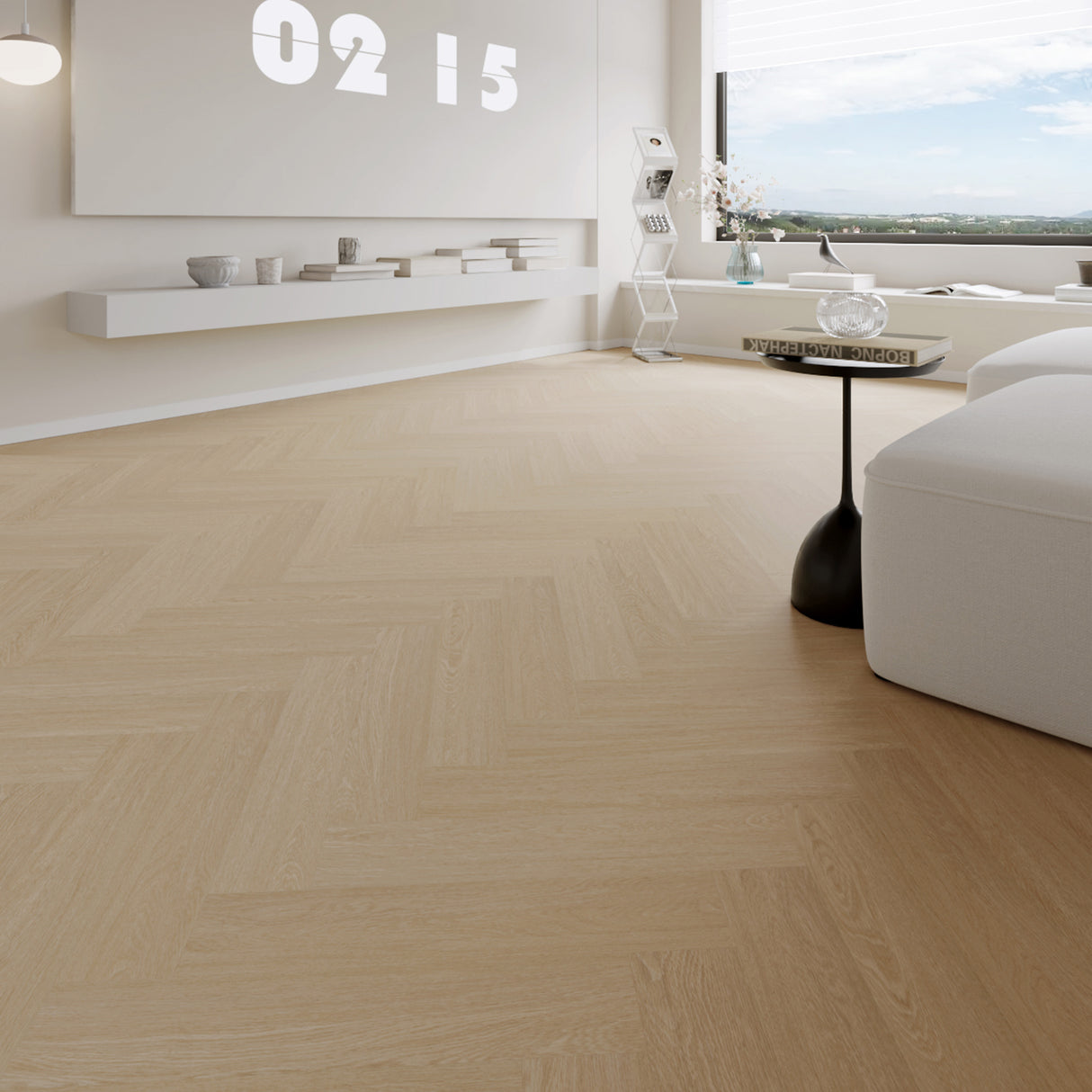 باركيه كلارا