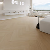 باركيه كلارا