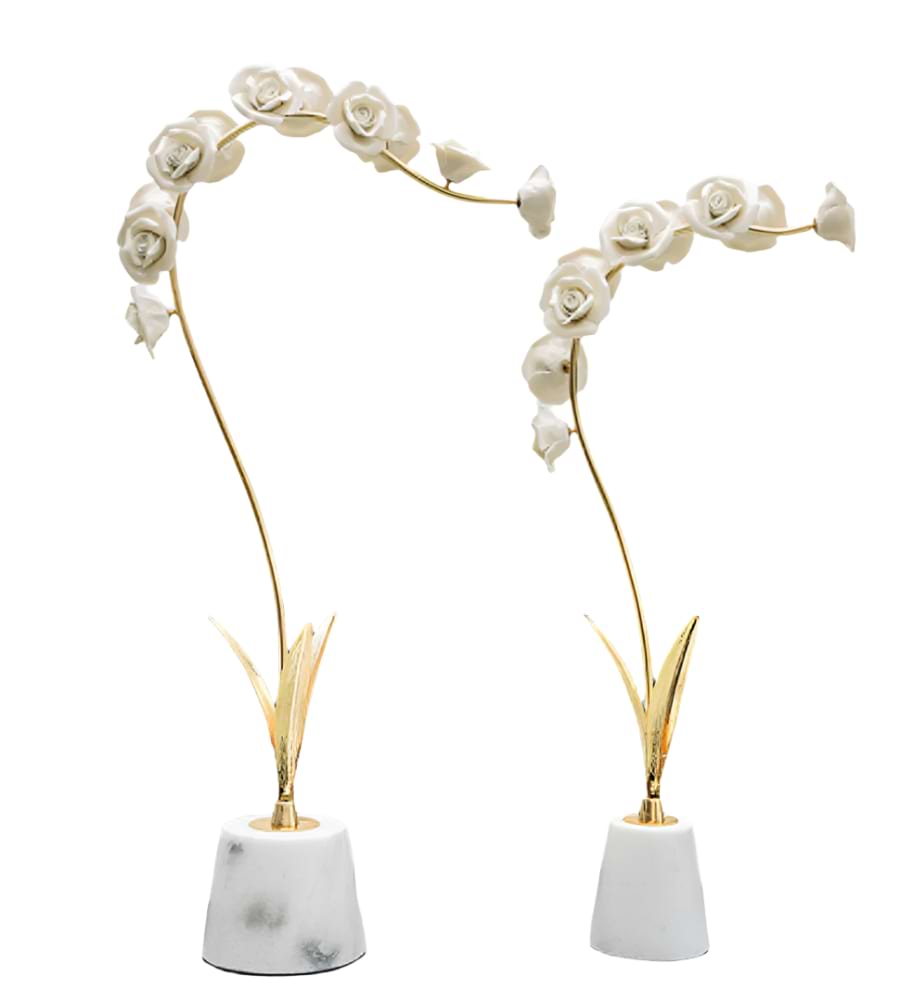 تحفة زينة | نوفيلو