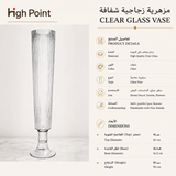 فازا | رينوفا