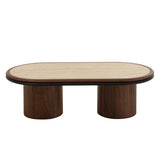 طاولة وسطية راليفا باللون البني