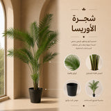 شجرة الأوريـسا