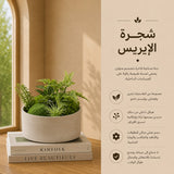شجرة الإيريس