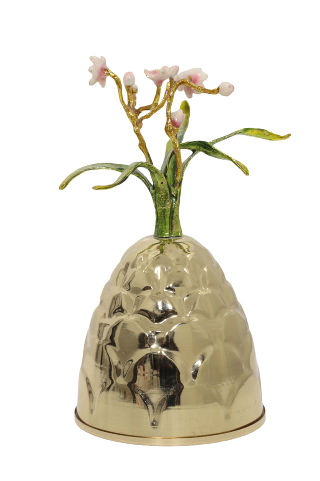 تحفة زينة - نافينا | من هاي بوينت