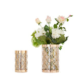 تحفة زينة - ليونسا | من هاي بوينت