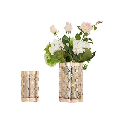 تحفة زينة - ليونسا | من هاي بوينت