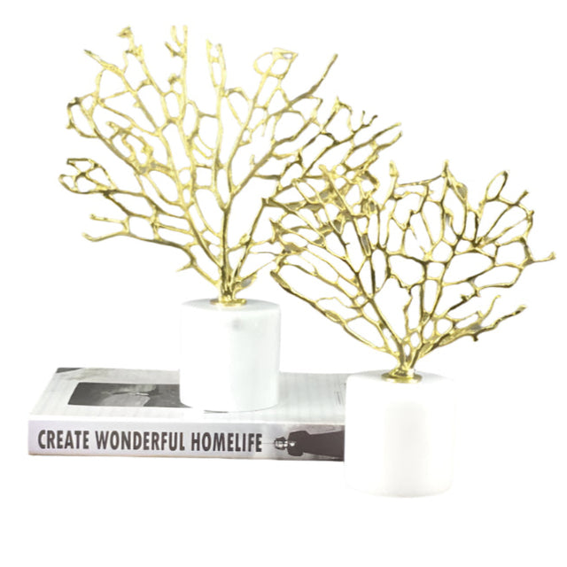 تحفة زينة - سيلترا | من هاي بوينت