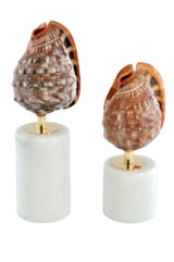 تحفة زينة | نيفورا