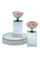 تحفة زينة | سافانا