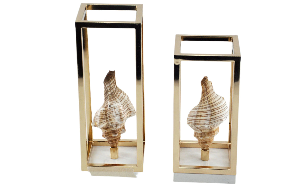 تحفة زينة - ديليما | من هاي بوينت