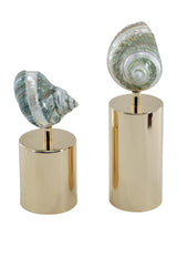 تحفة زينة | نوفانا