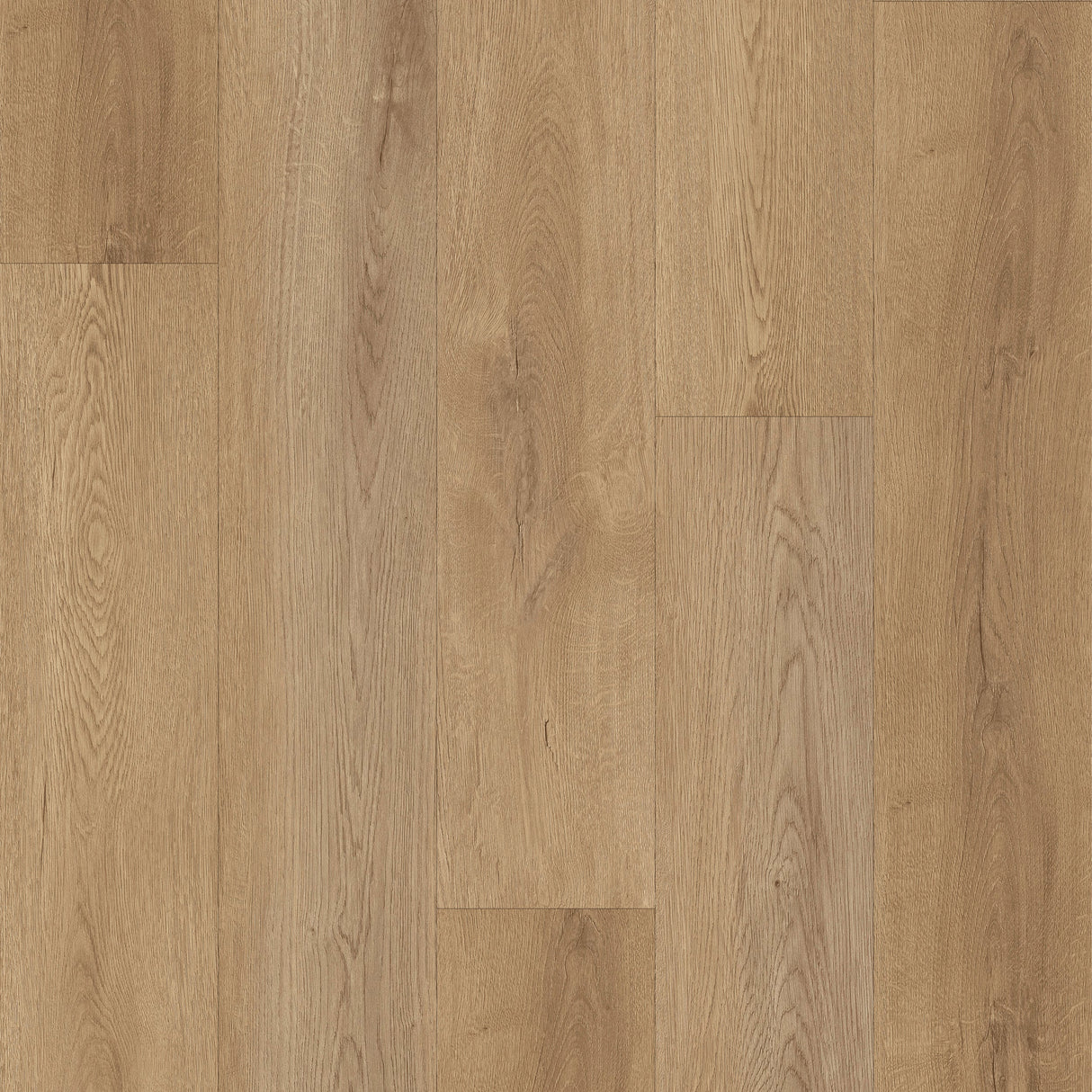 باركيه نيرين