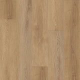 باركيه نيرين