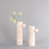 فازا | ميرالفين