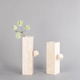 فازا | ميرالفين