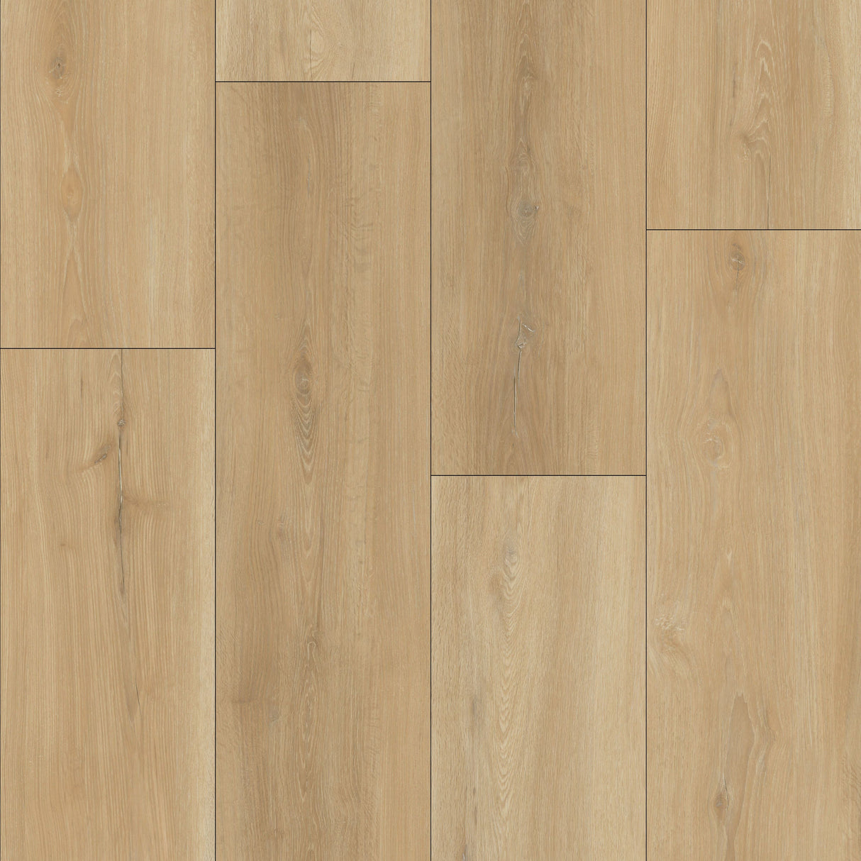 باركيه كايلا