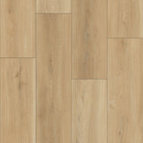 باركيه كايلا