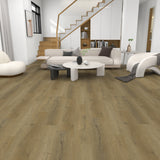 باركيه رينا