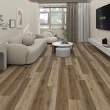 باركيه سيلين