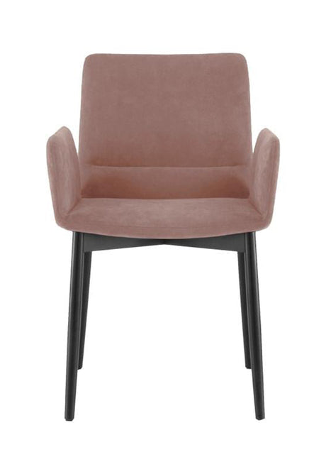 كرسي طعام كليك متعدد الألوان - High Point