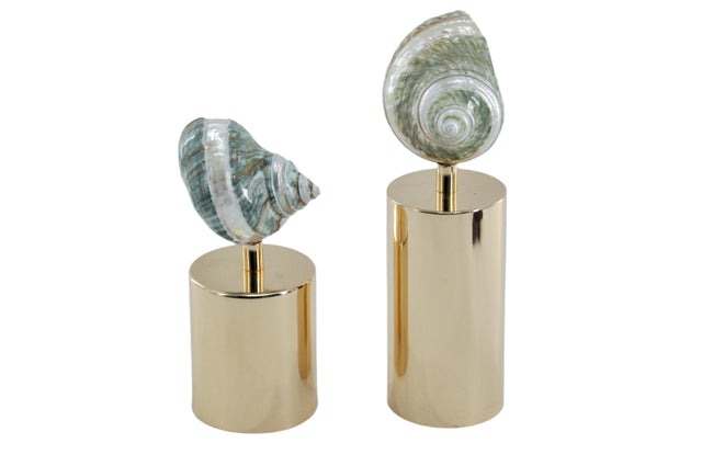 تحفة زينة - أكيرو | من هاي بوينت